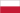 Strona w języku polskim