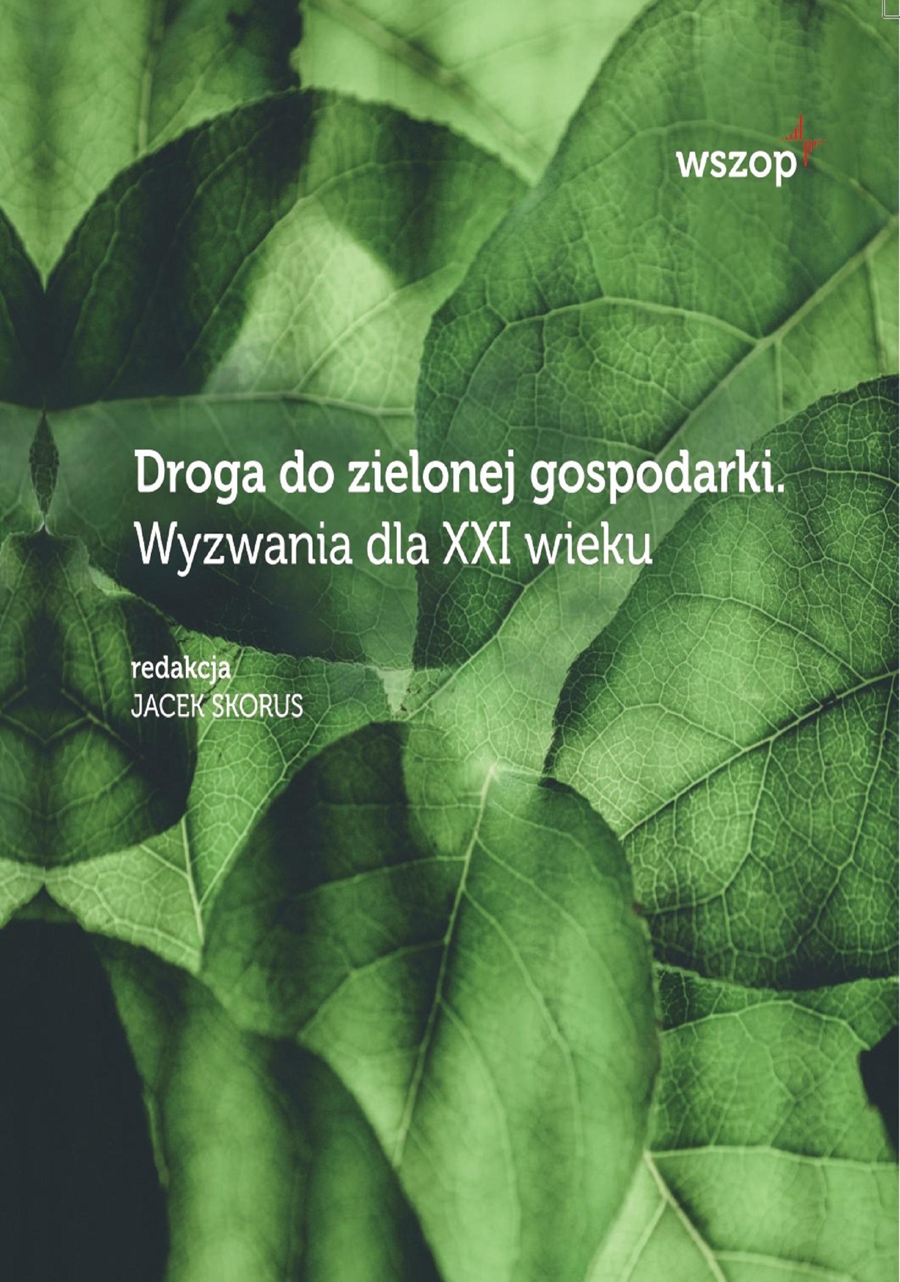 Okładka książki „Droga do zielonej gospodarki" – Jacek Skorus, WSZOP Katowice